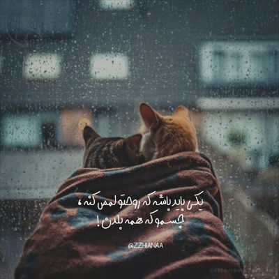 آهنگ شدی تو همه امیدم