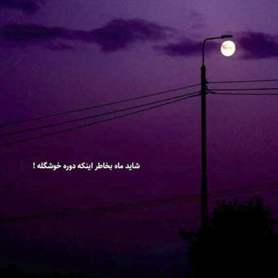 آهنگ تو یه گلی پره نفرت هرجا که میکارمت