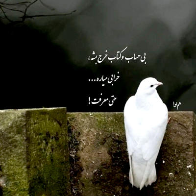 آهنگ خود من گل من میکارمت توی قلب خودم بیای ریشه کنی