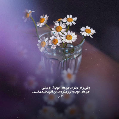 آهنگ تا دیدمت یهو دلم لرزید عشقو میشه از چشمای من فهمید