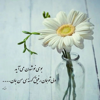 آهنگ آرزوی بقیه ام تو آرزوی منی