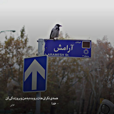 آهنگ آره واقعا دیگه با تو داره عشق یادم میره