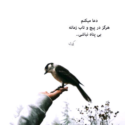 آهنگ رگ خوابمو داری تو عشق یجوری حالی کن به اون دل سنگت
