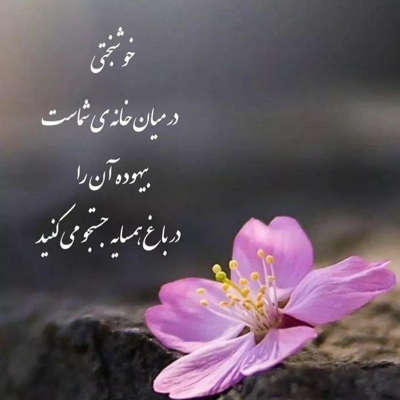 آهنگ الان باز ساعت 11:11 است آرزو میکنم بشم خاص تر و خاص تر