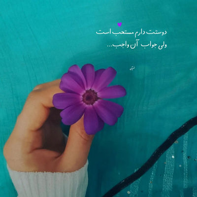 آهنگ آخرین بار بود نمی دونستی آخرین باره