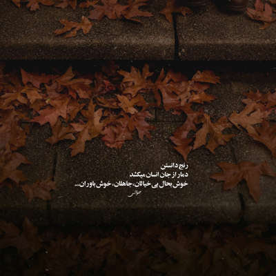 آهنگ در چشمانم مگر چه خوانده ای