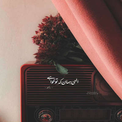 آهنگ دلم میخواد یه مرگ مغزی یه فراموشی یه کما