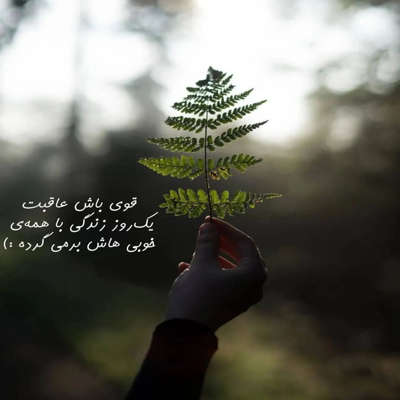 آهنگ دلم میخواد یه مرگ مغزی یه فراموشی یه کما