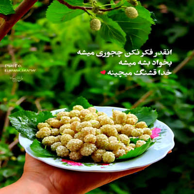 آهنگ میکشم آدم میکشم حبس سر تو