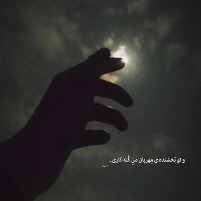 آهنگ بگو بیارن یک و نیم سگی نیم برا شما یک برای من تکی