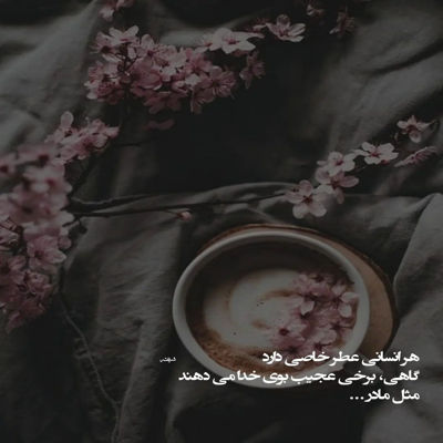 آهنگ باور نمیکنم این تو خود تویی