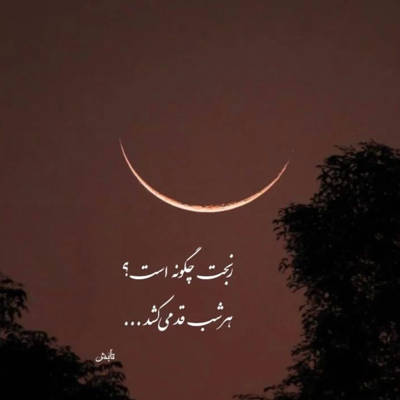 آهنگ آخر تونستی دل ببری ازم