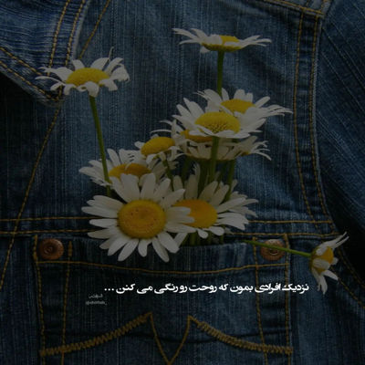 آهنگ قلقت اومده تو دستم هیچ جا مثلت ندیدم اصلا