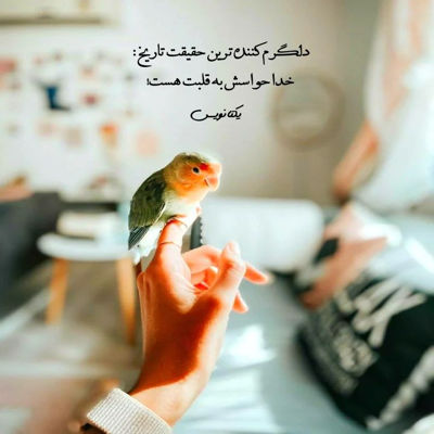 آهنگ ازت چیزی نمیخوام به جز اینکه بخندی