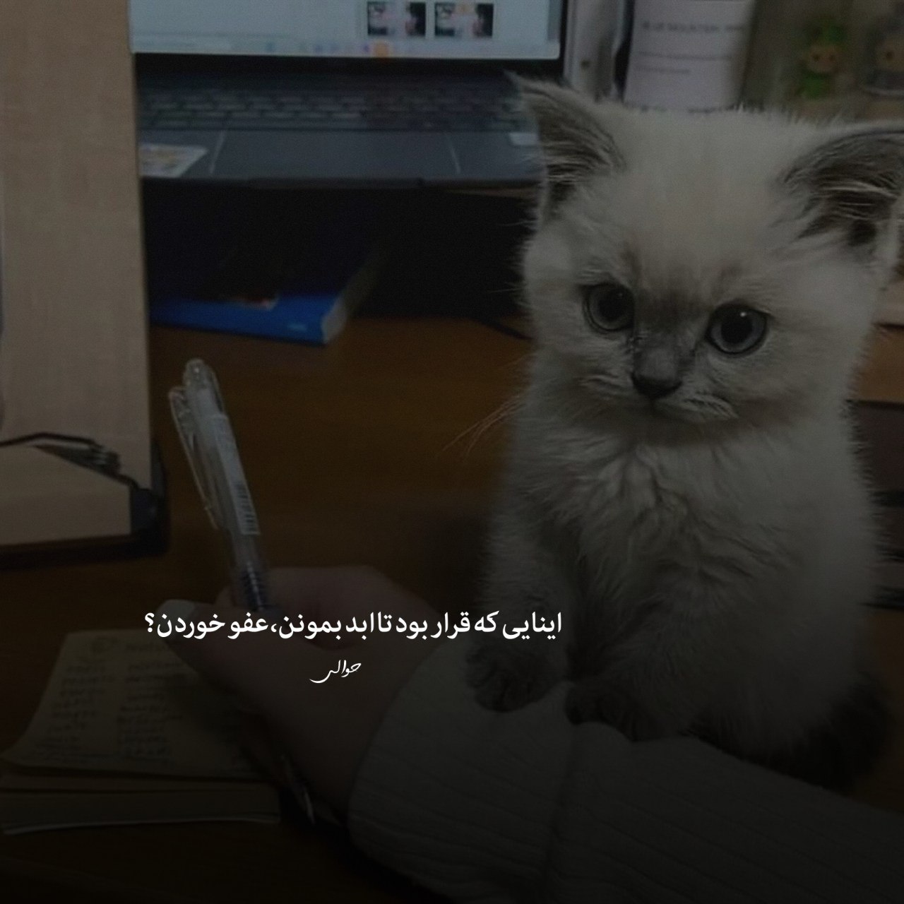 آهنگ امشب ای دوست به کاشانه ما آمده ای معین + دانلود کیفیت 320