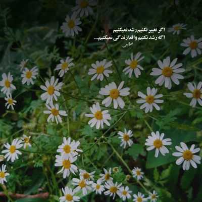 آهنگ زخمم کاریه هی تیر ایکشه