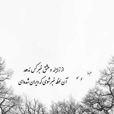 آهنگ دارم کم کم میزنم قید همه چیو