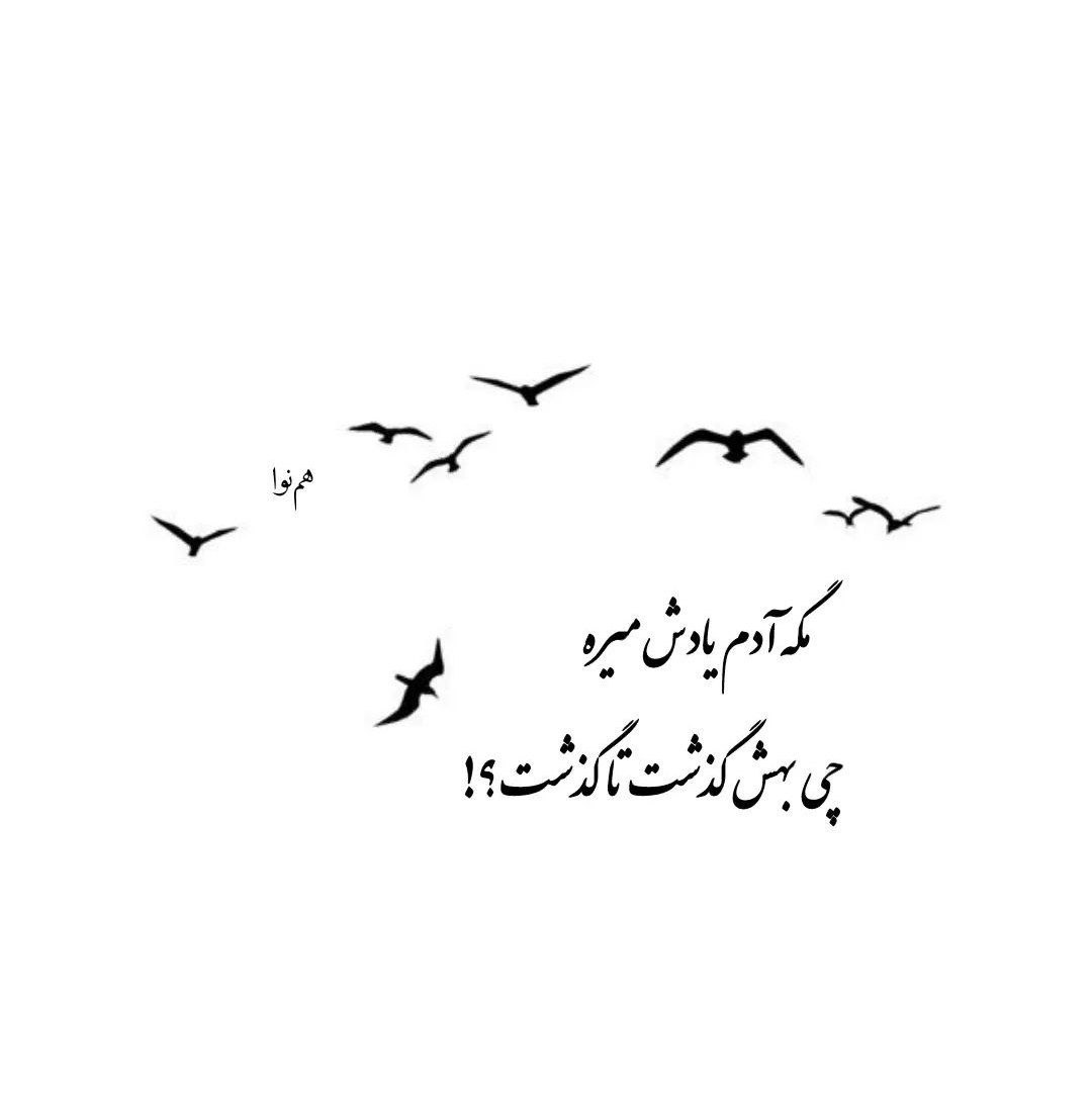 دانلود آهنگ ای وای داره یارم میاد شهرام شب پره