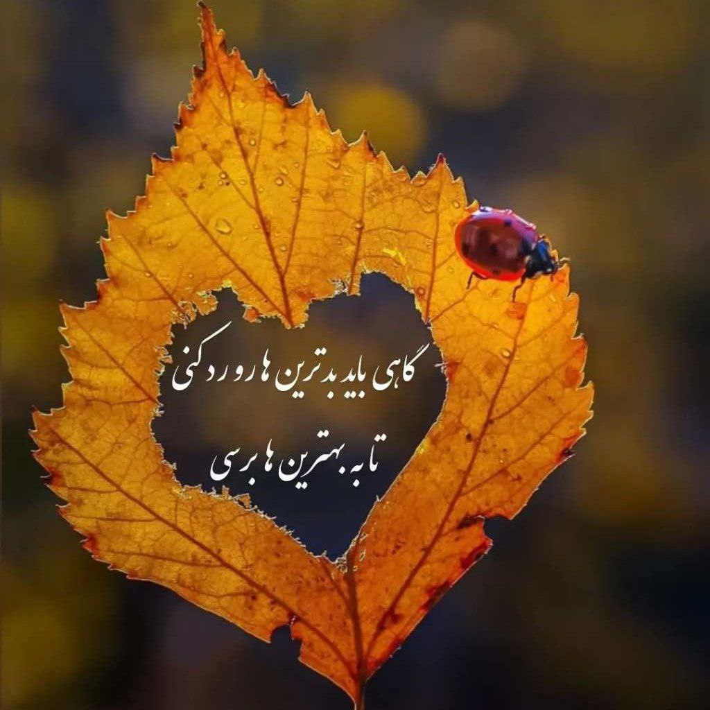 دانلود آهنگ سعید کریمی ماشاالله ماشاالله کامل