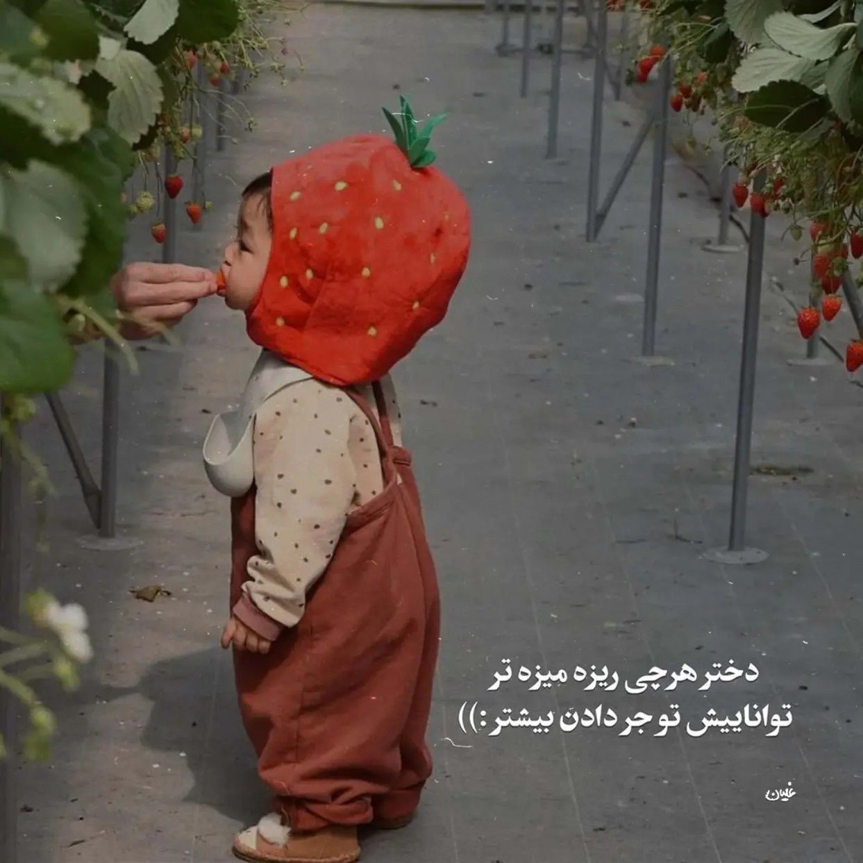 دانلود آهنگ ارشاد و تبارک الله بانو اون چشمای چون آهو
