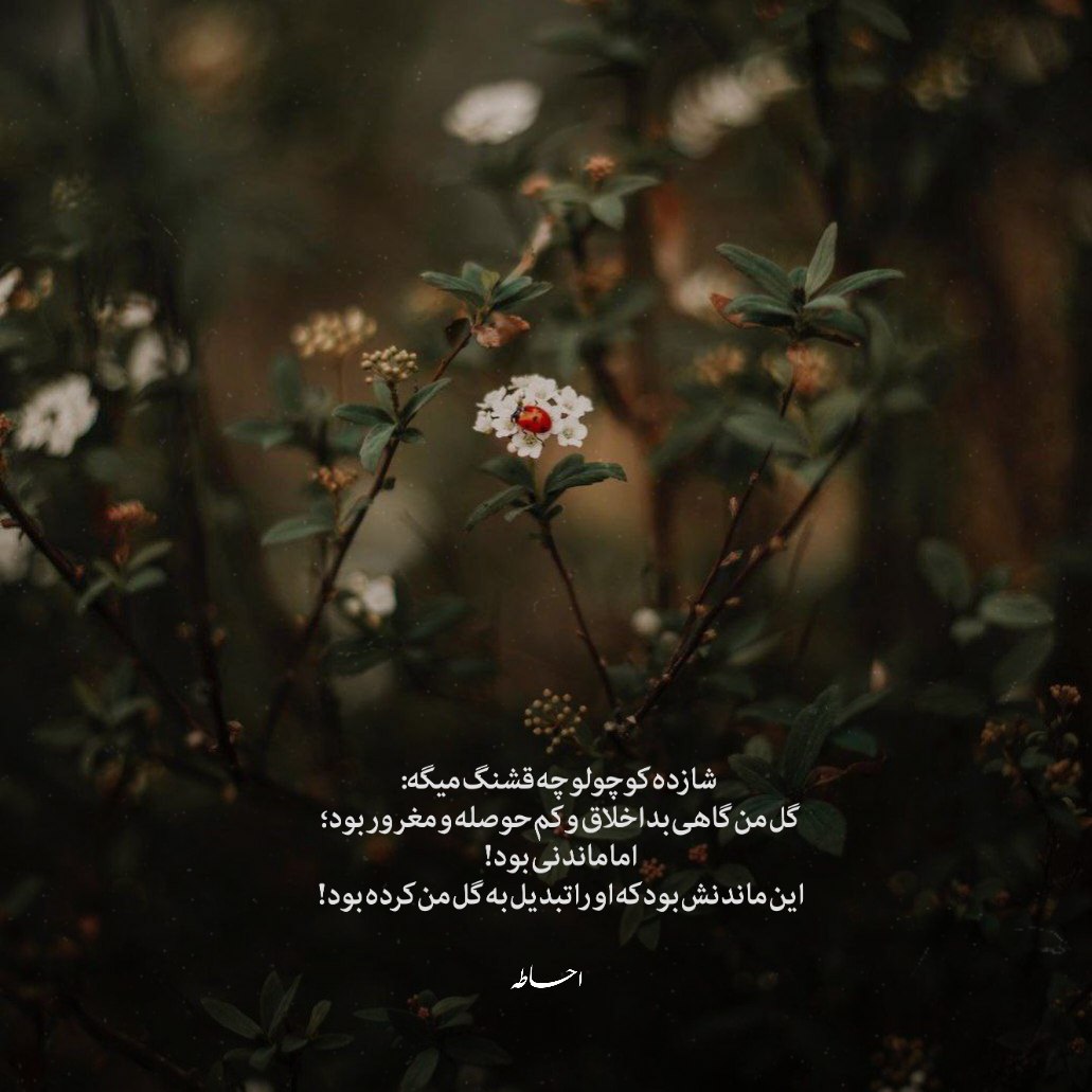 آهنگ از تو مایک میره مک بعد هم میکنیمش ترک