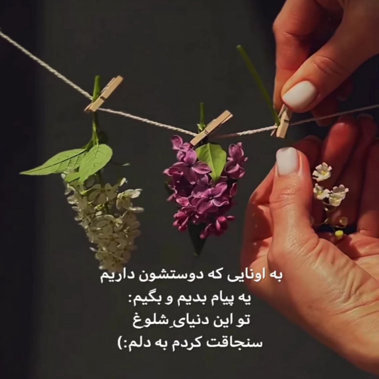 آهنگ اگه بلدی بیا بعد از این با هم بسازیم یه جا ابدی