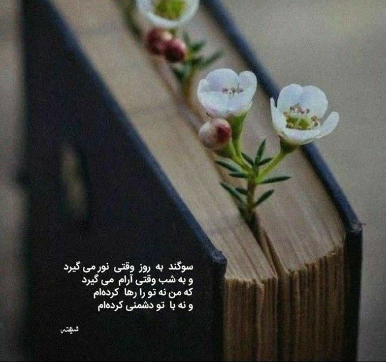 آهنگ کیو ایو دادم برو  برنده ها با من برو