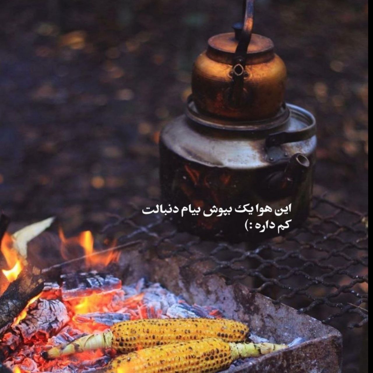 دانلود آهنگ علی عبدالمالکی من دلم تنگه برات آدم عاشق کش خونسرد