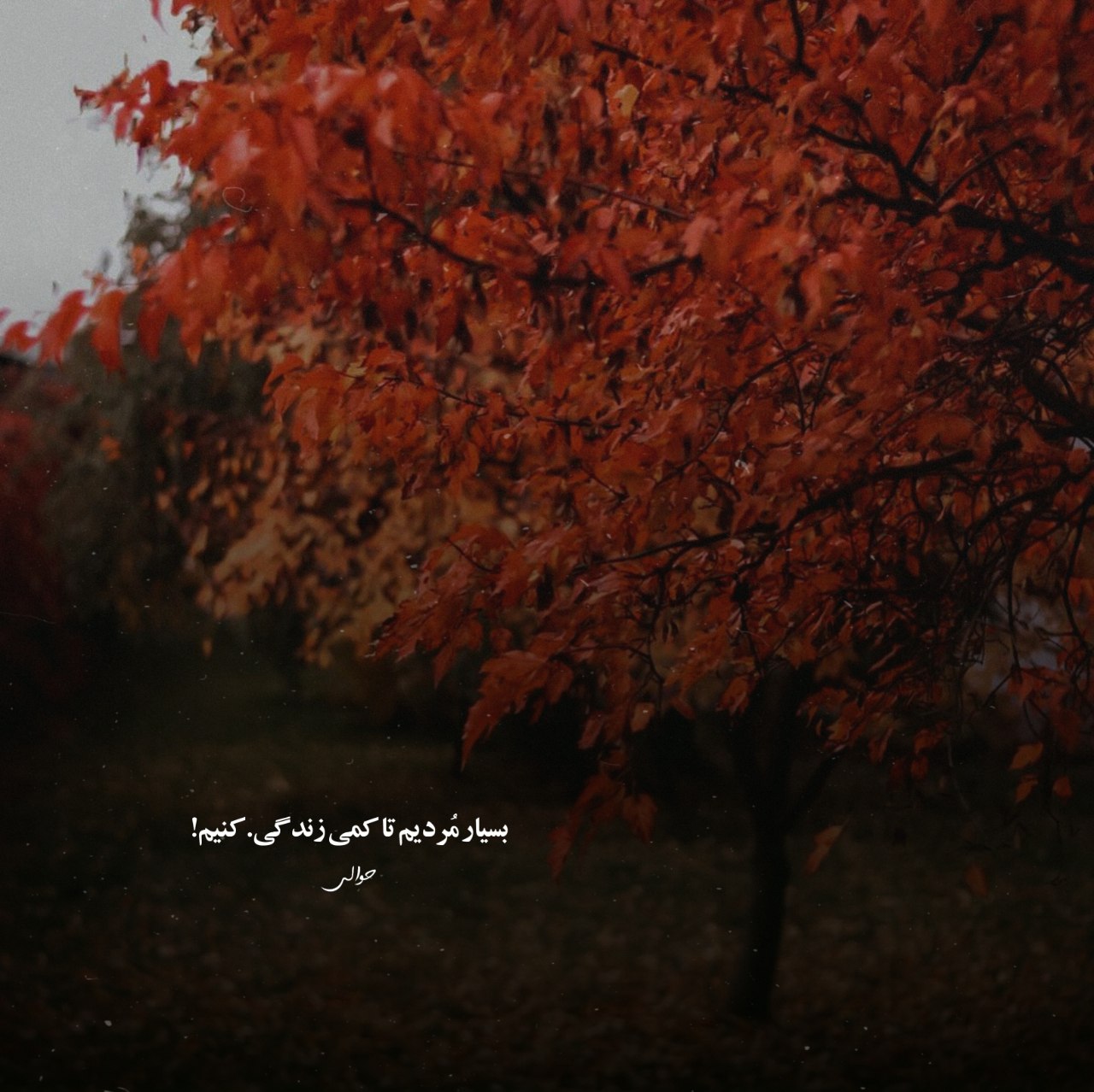 دانلود آهنگ ایهام دلتنگم برای حالم با تو برای هر خاطره ی این همه سالم با تو