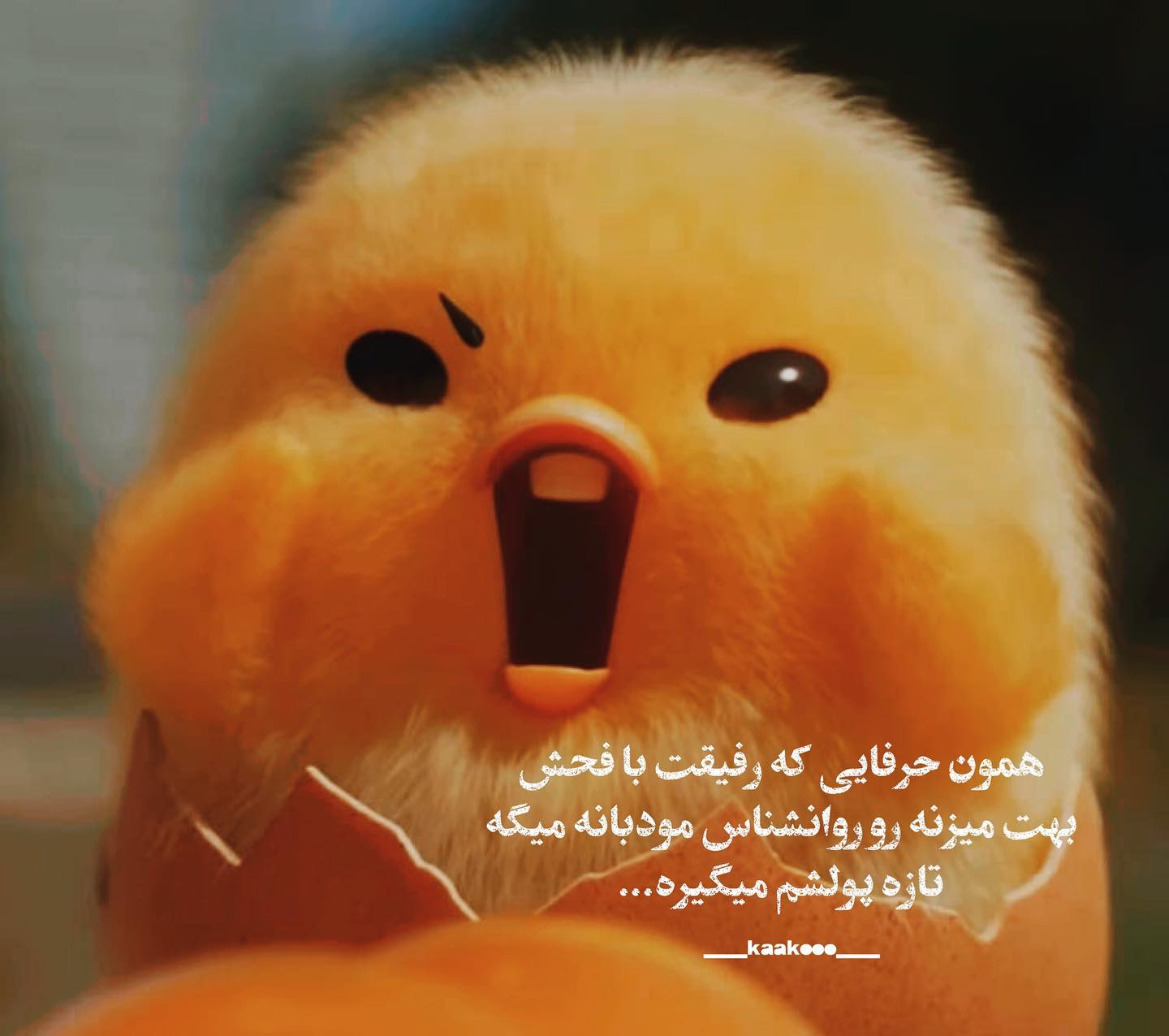 آهنگ ولی من حالم خوب نی برام سخته دوری