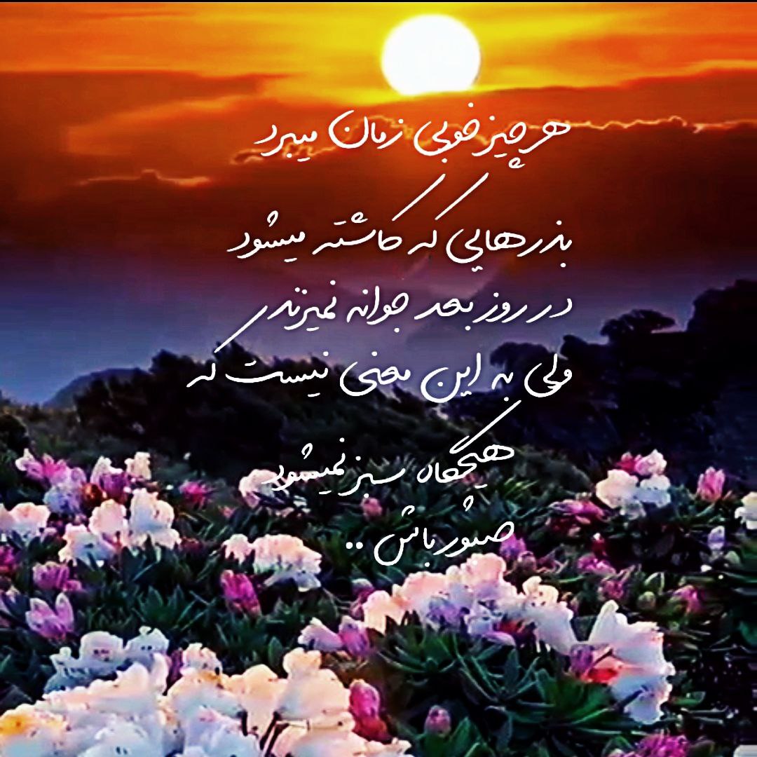 آهنگ شب شادی شب مستی شب دلداری مصطفی ابراهیمی