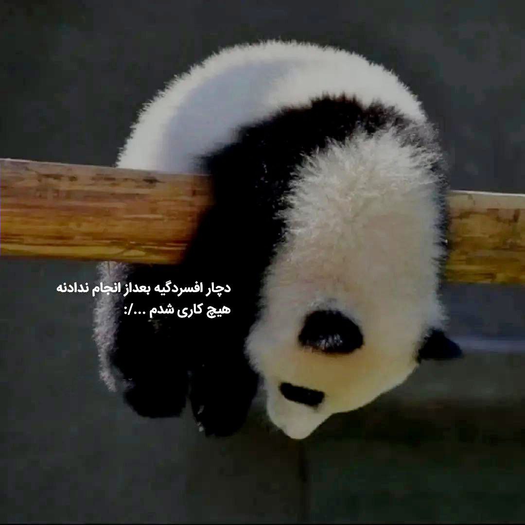 آهنگ افسوس که گذشته دیگه برنمیگرده منوچهر سخایی