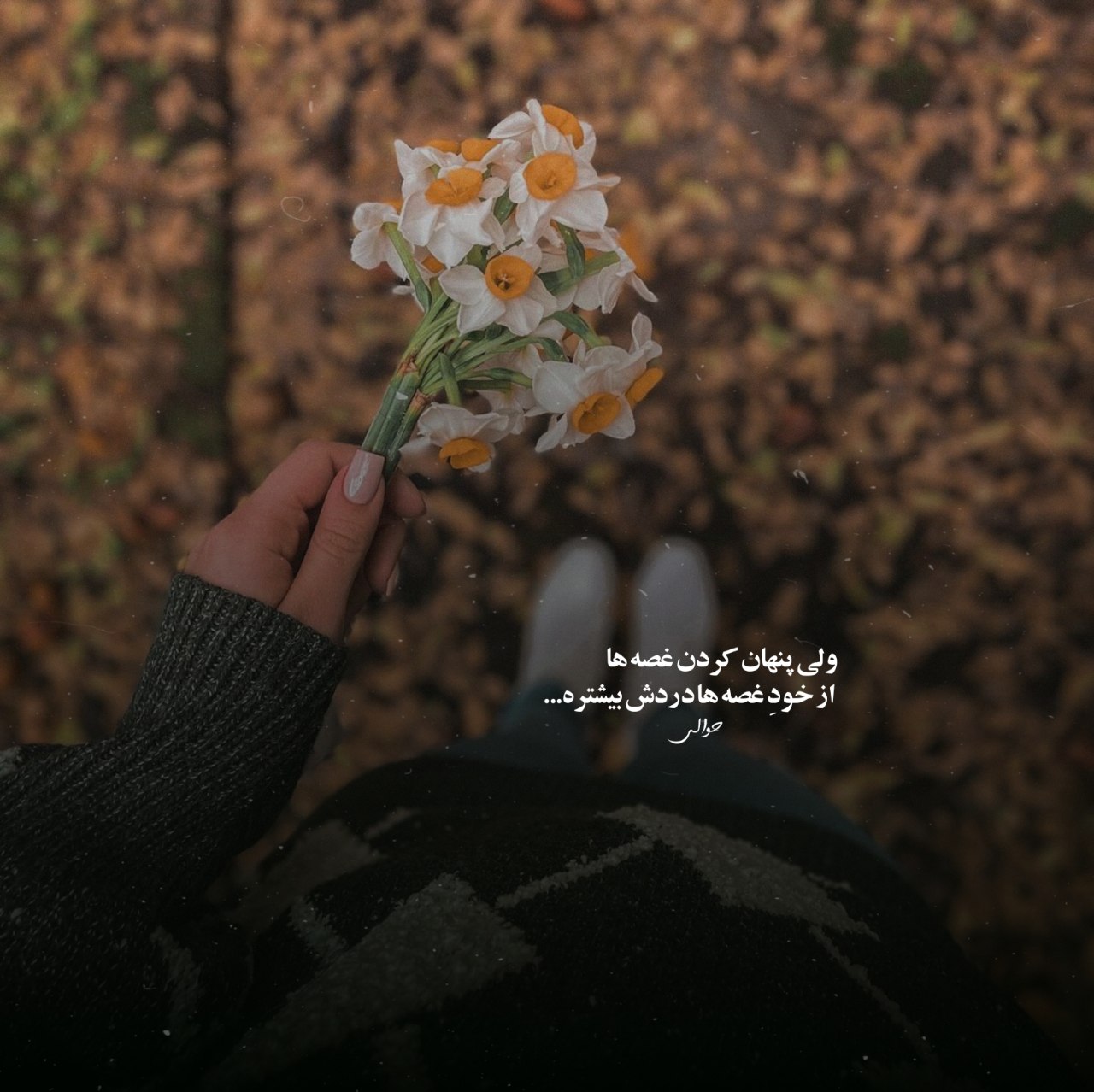 آهنگ اگه فراموشم کنی ترک آغوشم کنی پرنده دریا میشم فرامرز اصلانی