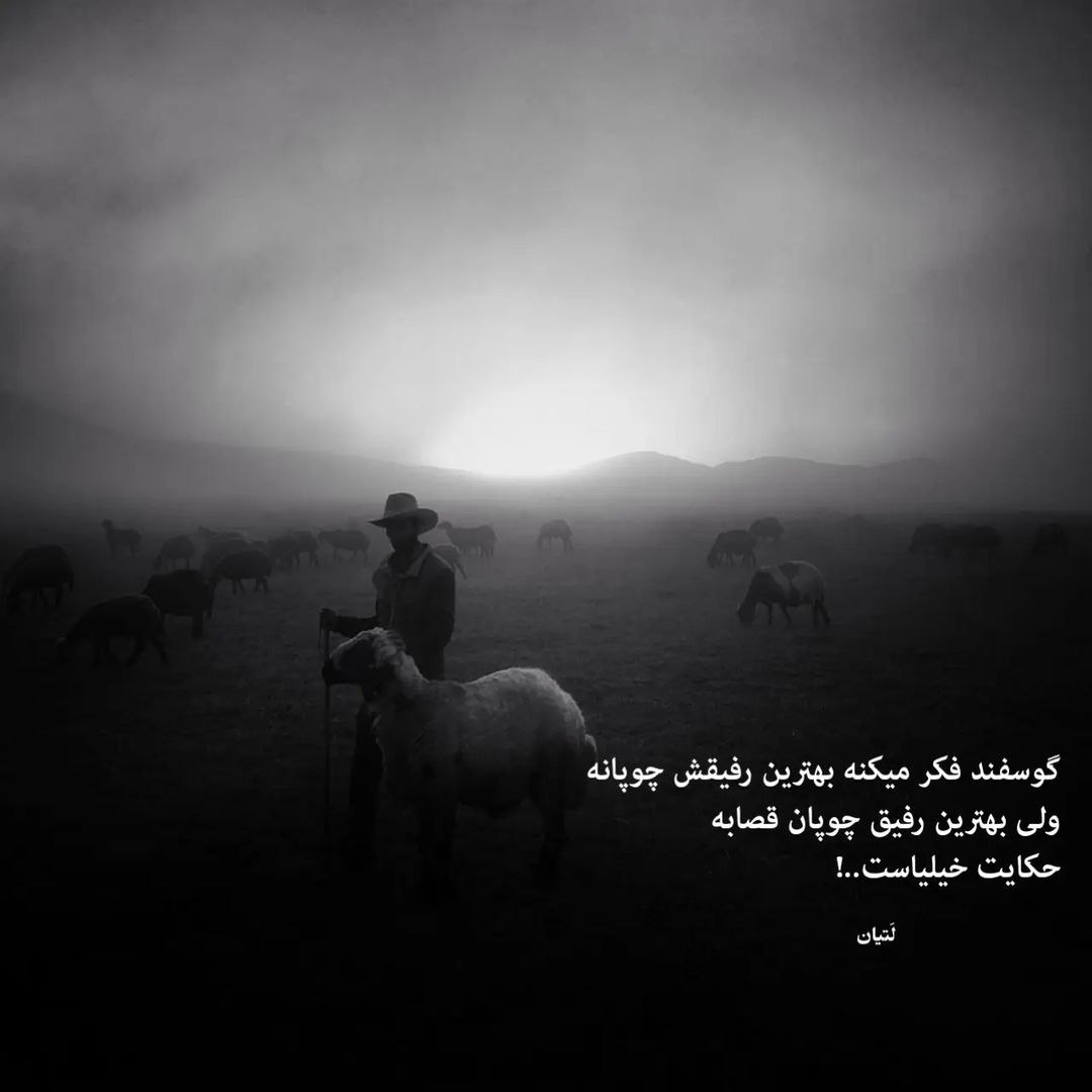 آهنگ آهای قاصد بوی بارون بارون تا میای قاصدک جون هوش مصنوعی