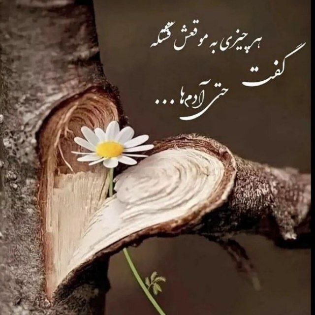آهنگ ندیده یه ایران مثل ما چت کوروش