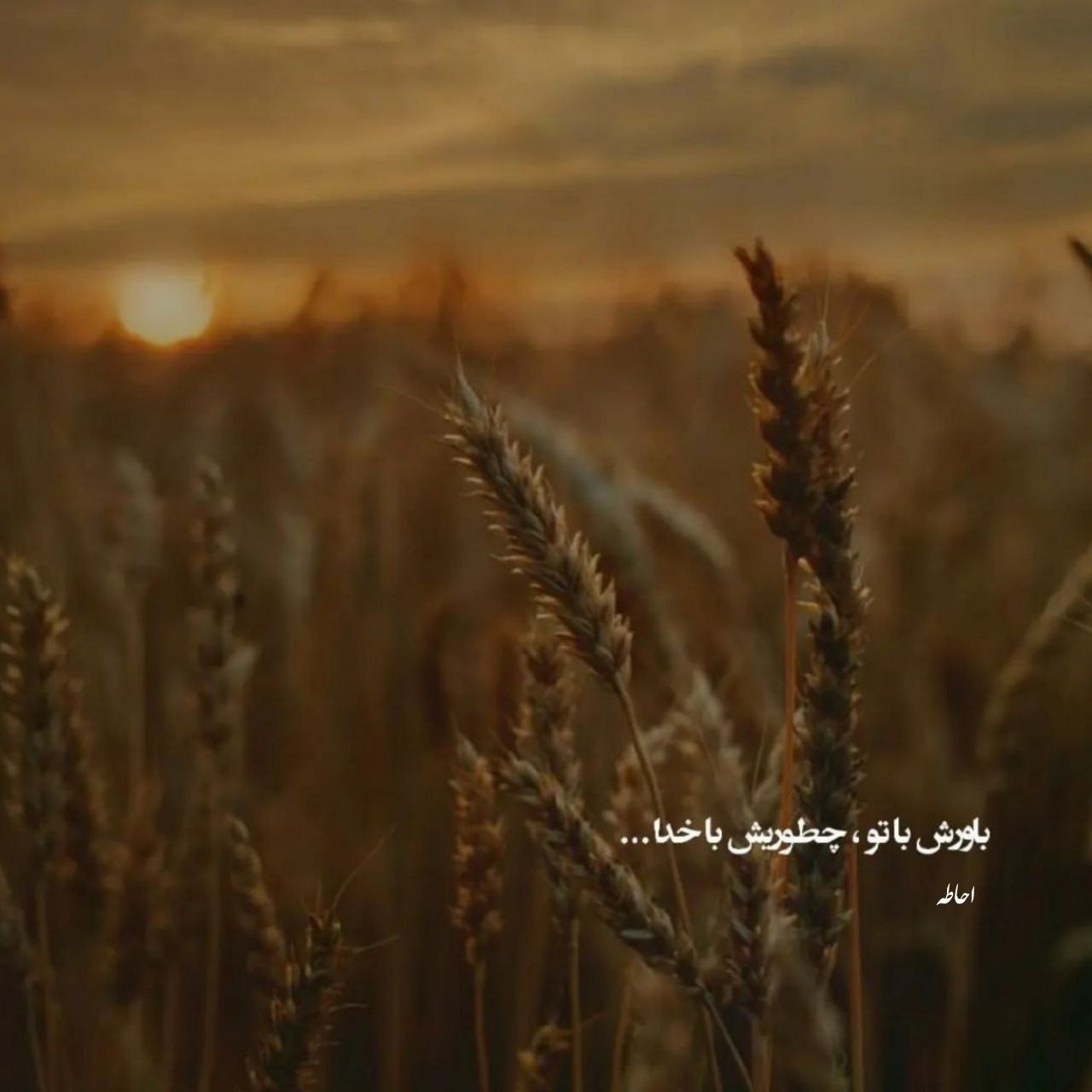 آهنگ دای باد ایای بارون ایای جواد طالبی