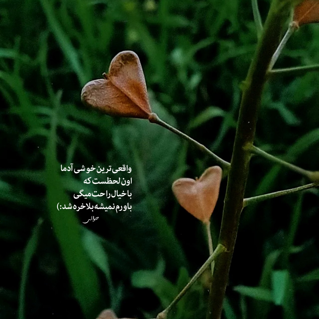 آهنگ دختر بدی نبودم با تو شدم بد