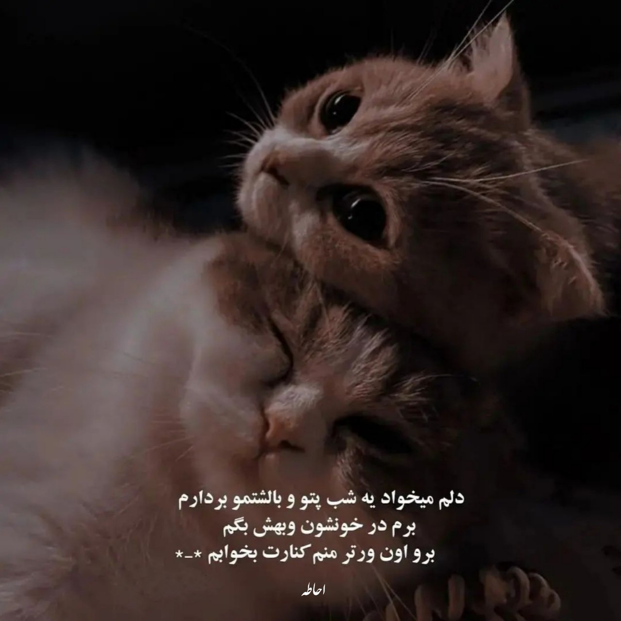 آهنگ من واسم خنده مرد روز خوش ندیدم بعد تو