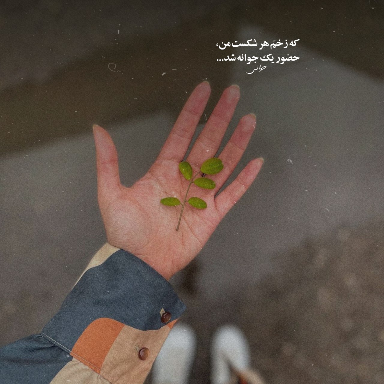 دانلود آهنگ رامین تجنگی ﺳﺒﮏ ﺳﻨﮕﻴﻦ ﭘﻴﮏ ﻣﻴﺰﻧﻢ ﺳﻠﺎﻣﺘﻴﺶ