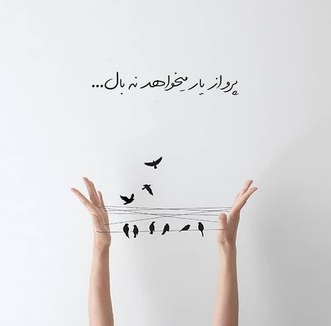 دانلود آهنگ سینا درخشنده دیدمت عشق میان قلب من دامن گرفت