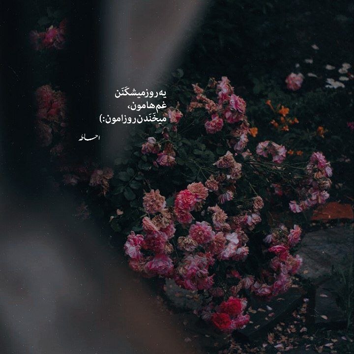 آهنگ به داد من برس نذار این ساقه قطع بشه د دن