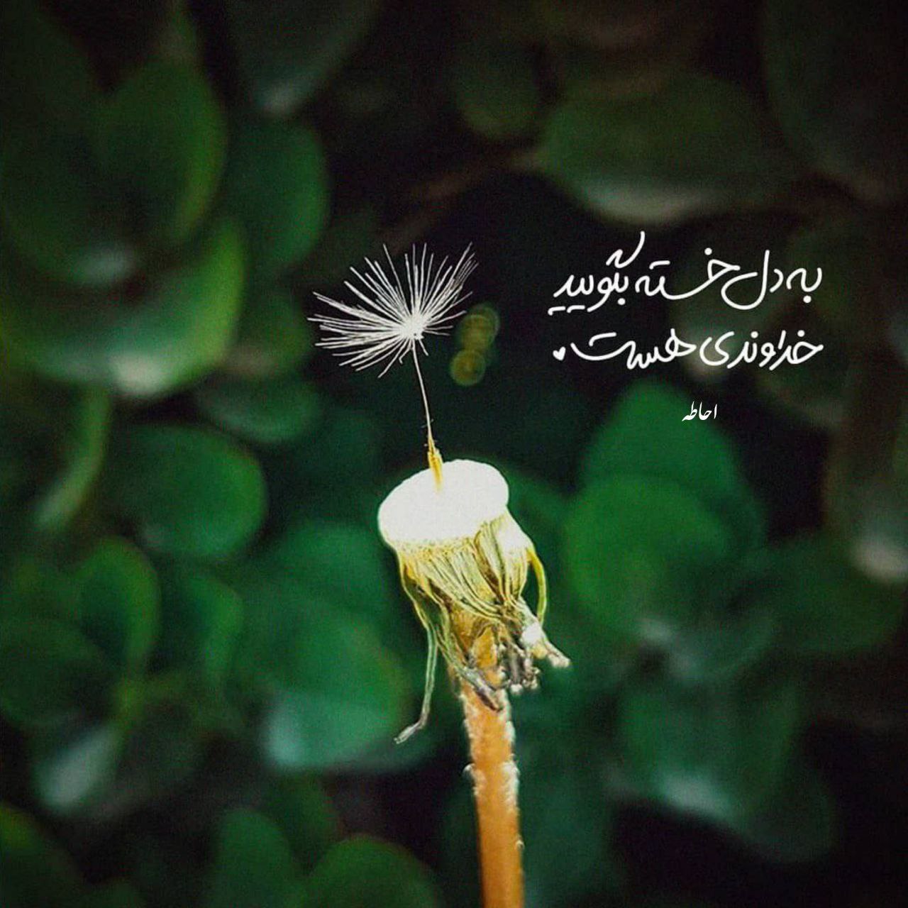 آهنگ زده تصویر پهلوم از لامپ آویزونه