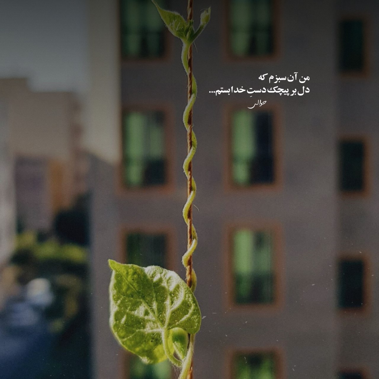 دانلود آهنگ تو باربی بندری آره آره والا تاک داون