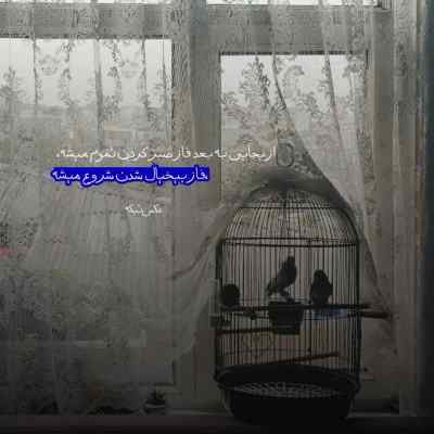 دانلود آهنگ تو مثل شبنمی رو برگ گل ها مهدی حقی