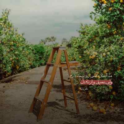 آهنگ هم بی اراده هم بیکاره