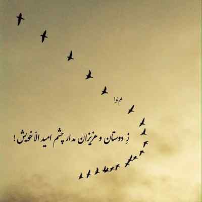 دانلود آهنگ محسن ابراهیم زاده آخه بی امونه بی امونه دعوا با همونه