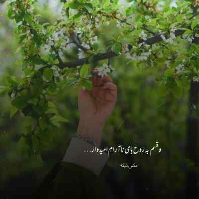 آهنگ جیگیلی تو با نمکی عشوه نیا باز الکی
