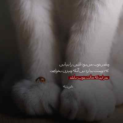 آهنگ جوانی ای جوانی ای جوانی بابا لیلی بیمار شدم امیر سعادت
