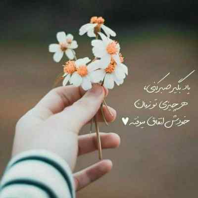 دانلود آهنگ رامین تجنگی هامه لب تیغ زهرماری خوردمه