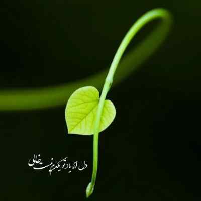 آهنگ نمی تونم فراموش کنم اون همه داستانو دورچی